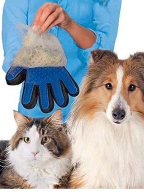 Amazon Blue and Black Pet Grooming Glove for Dogs & Cats